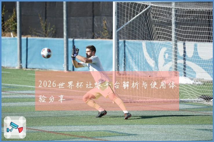 2026世界杯让球平台解析与使用体验分享