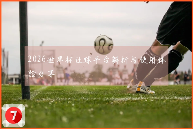 2026世界杯让球平台解析与使用体验分享