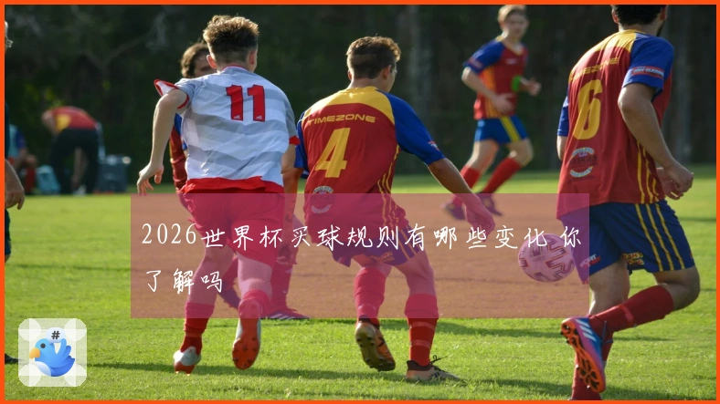 2026世界杯买球规则有哪些变化 你了解吗