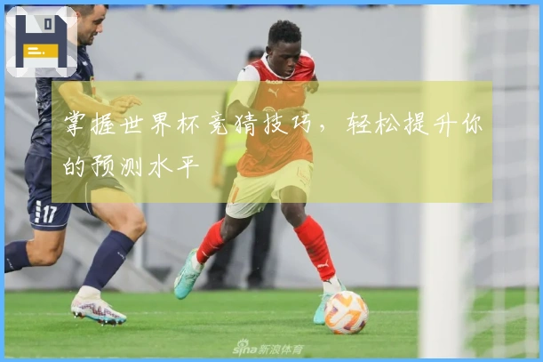 掌握世界杯竞猜技巧，轻松提升你的预测水平
