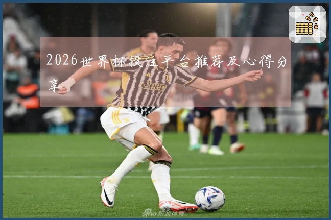 2026世界杯投注平台推荐及心得分享